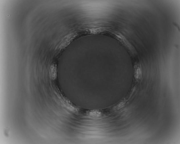 X0000102360471200808081134