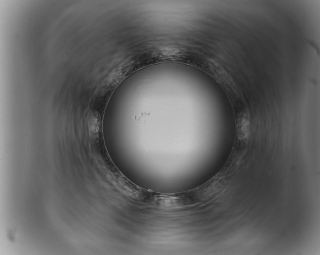 X0000102360472200808081134