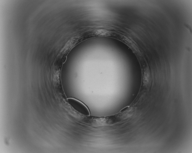 X0000102360473200808081134