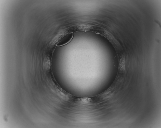 X0000102360474200808081134