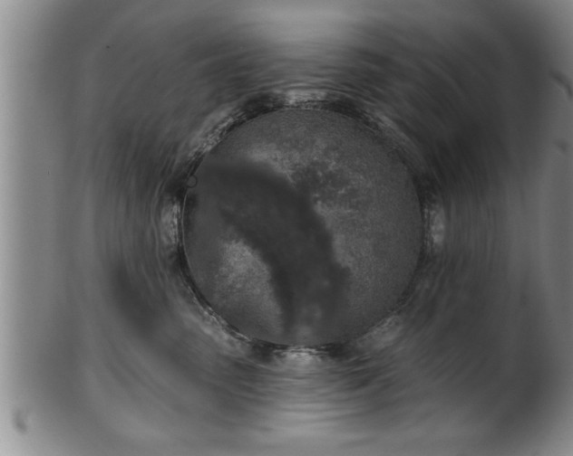 X0000102360475200808081134