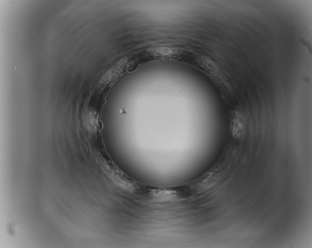 X0000102360476200808081134