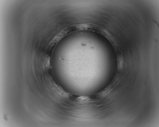 X0000102360477200808081134