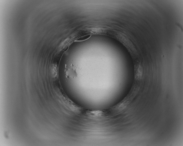 X0000102360478200808081134