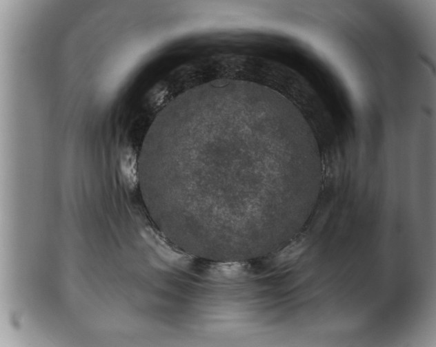 X0000102360479200808081134