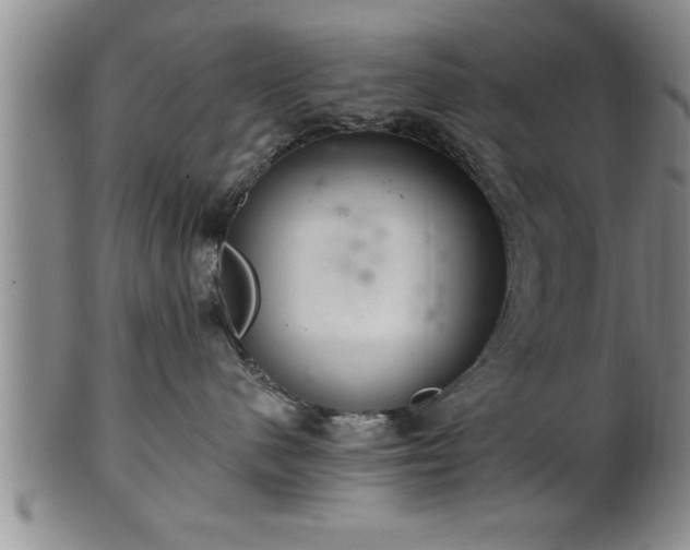 X0000102360480200808081134