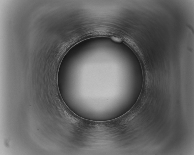 X0000102360481200808081134