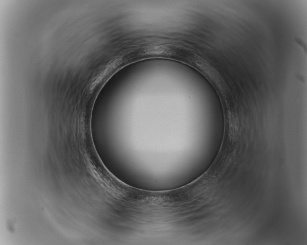 X0000102360482200808081134