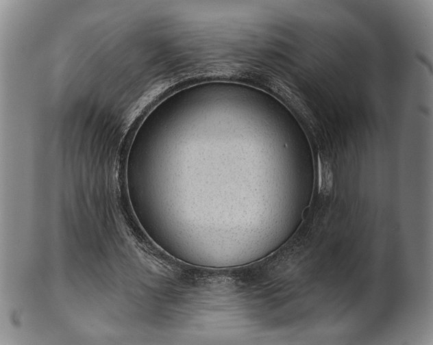 X0000102360483200808081134