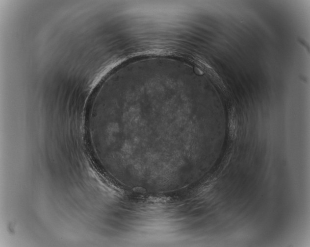 X0000102360484200808081133