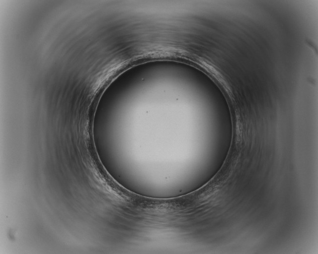 X0000102360485200808081133