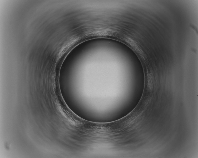 X0000102360486200808081133