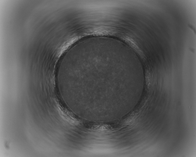 X0000102360488200808081133