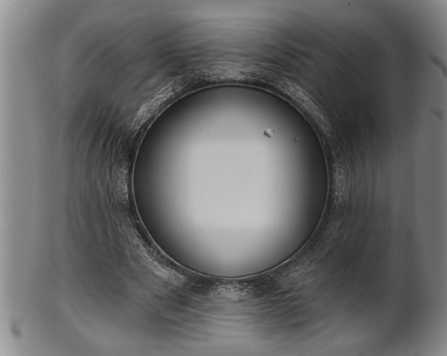X0000102360489200808081133