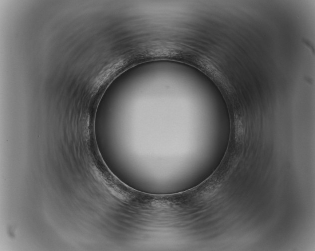 X0000102360490200808081133