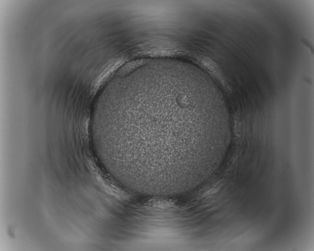 X0000102360491200808081133