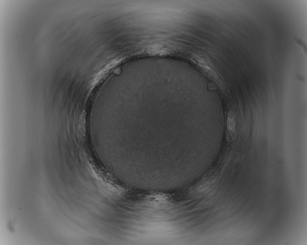 X0000102360492200808081133