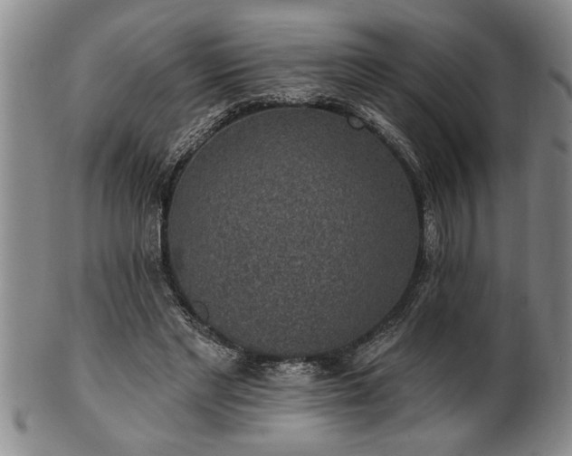 X0000102360493200808081133