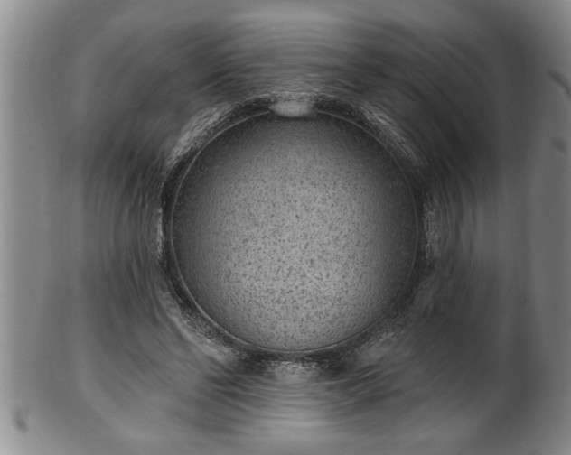 X0000102360494200808081133