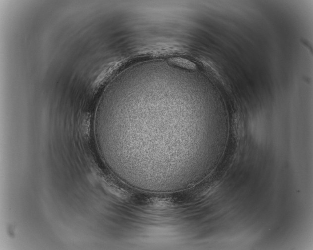 X0000102360495200808081133