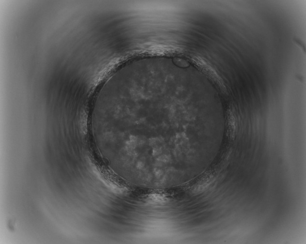 X0000102360496200808081133