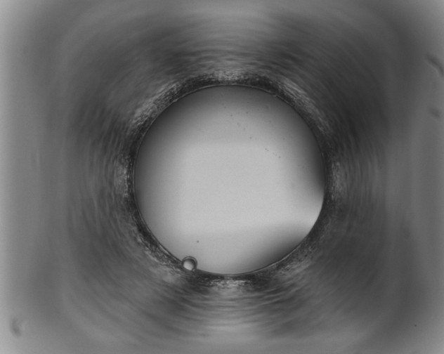 X0000102360497200808081133