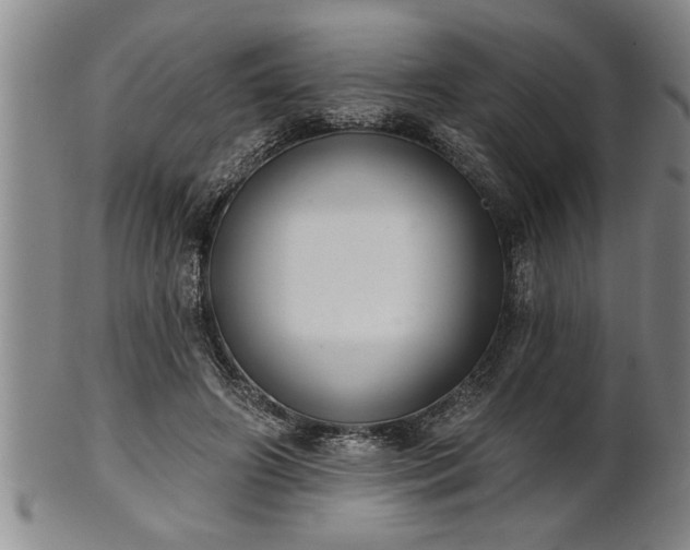 X0000102360498200808081133