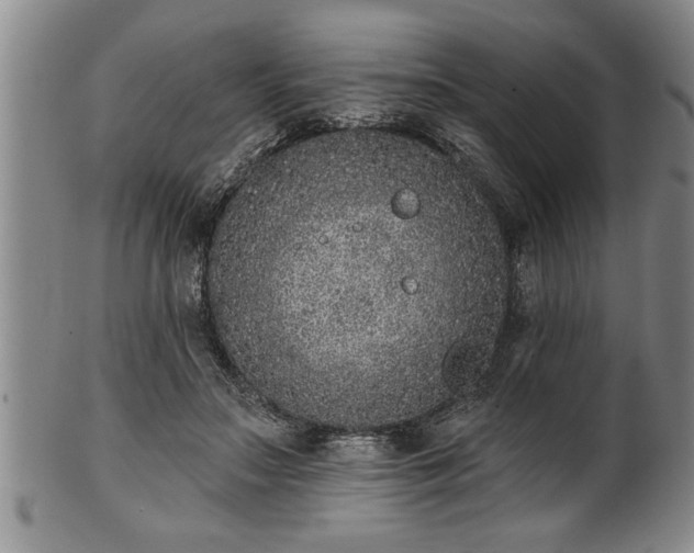 X0000102360499200808081133