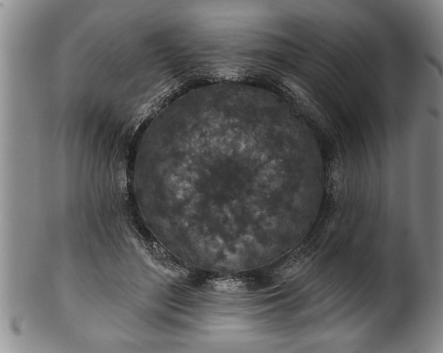 X0000102360500200808081133