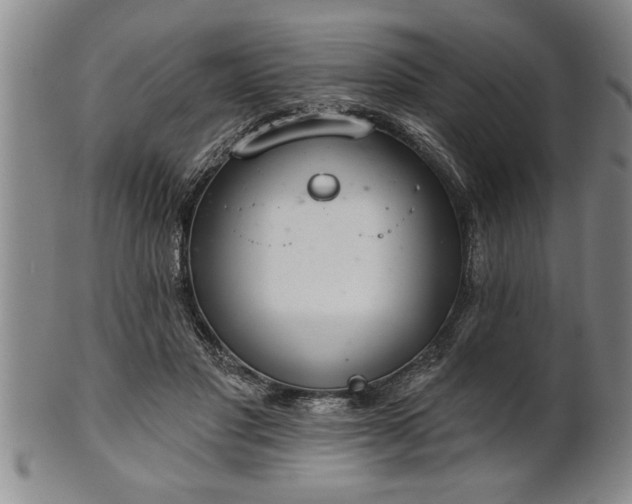 X0000102360501200808081133