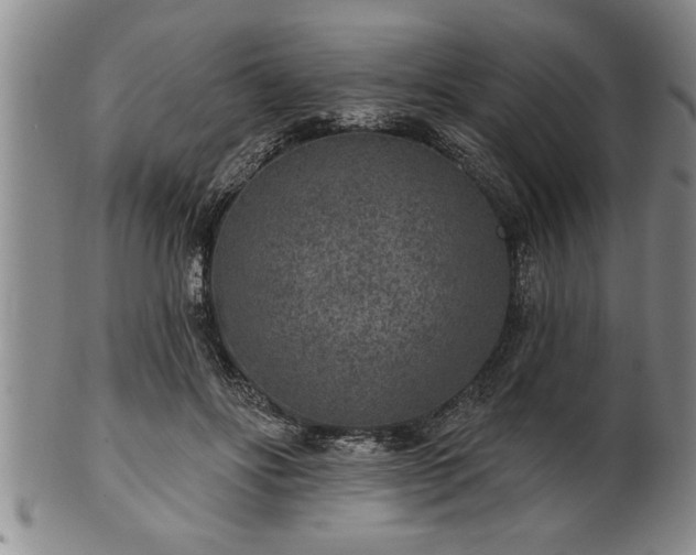 X0000102360502200808081133