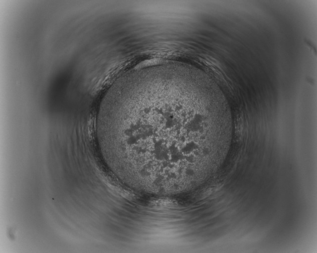 X0000102360503200808081133