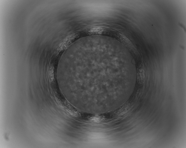 X0000102360504200808081133