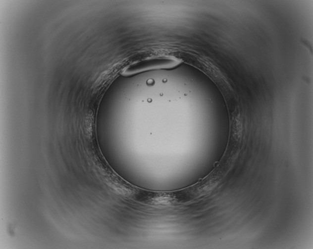 X0000102360505200808081133