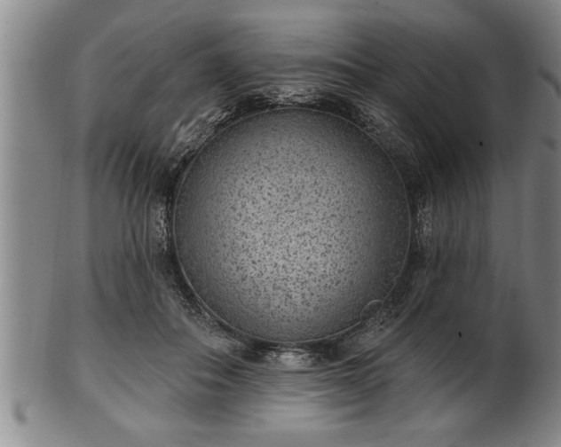 X0000102360506200808081133
