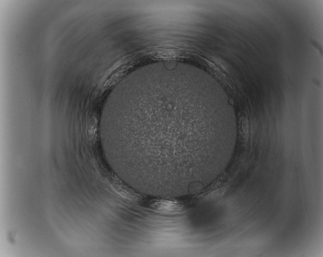 X0000102360507200808081133