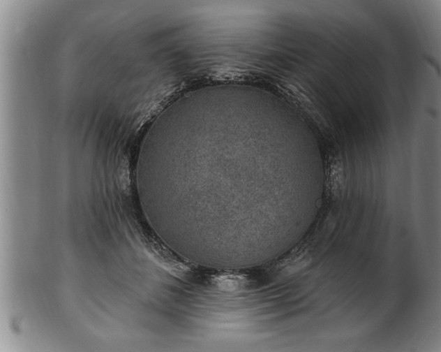 X0000102360508200808081133