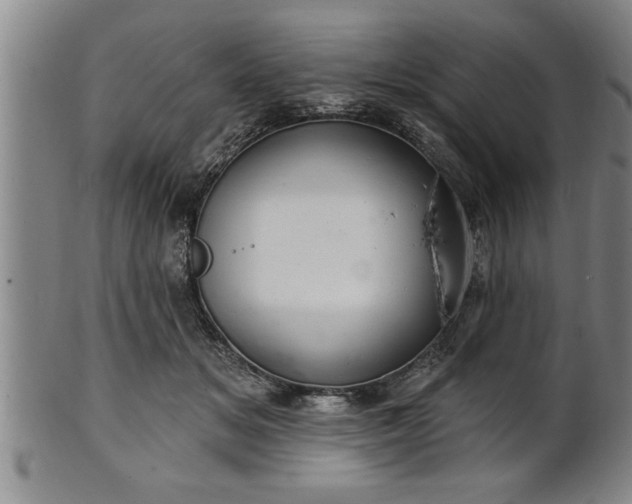 X0000102360509200808081133