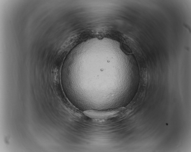 X0000102360511200808081133