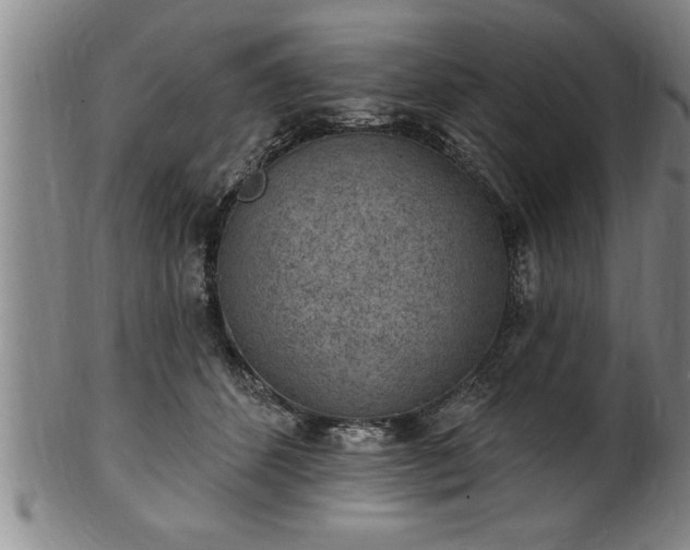 X0000102360512200808081133