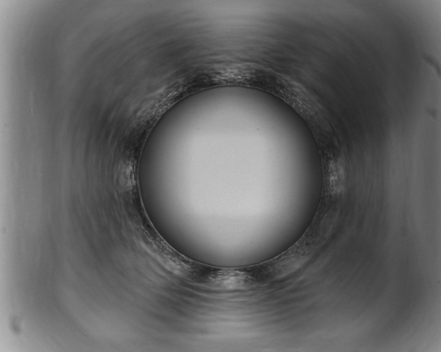 X0000102360514200808081133