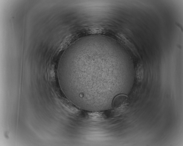 X0000102360516200808081133