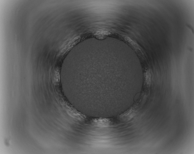 X0000102360517200808081133