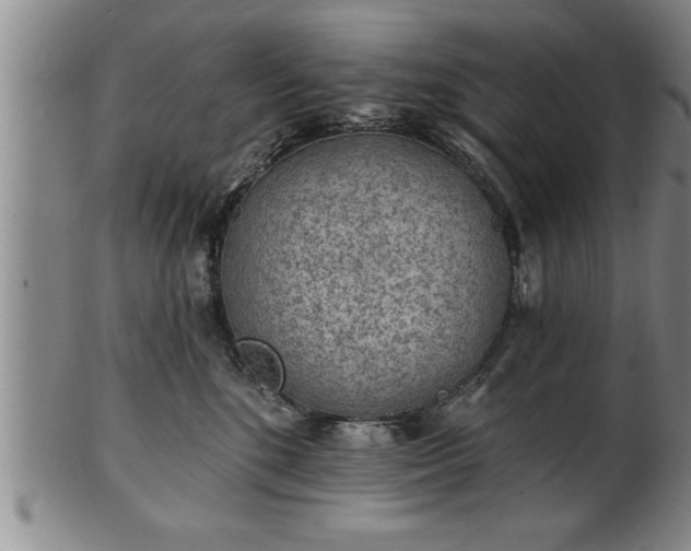 X0000102360520200808081133