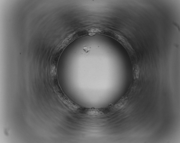 X0000102360521200808081133