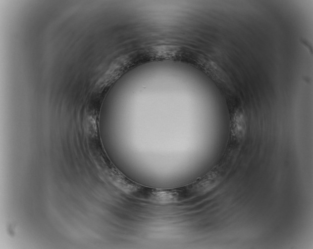 X0000102360522200808081133