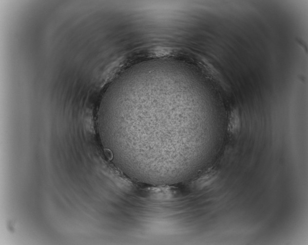 X0000102360524200808081133