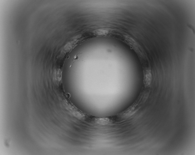 X0000102360525200808081133