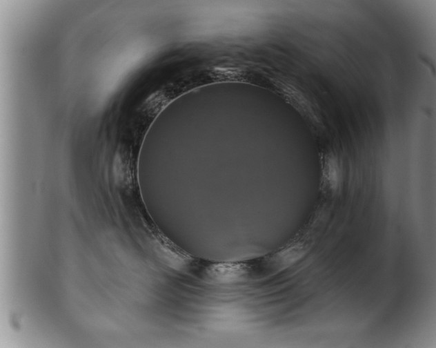 X0000102360526200808081133
