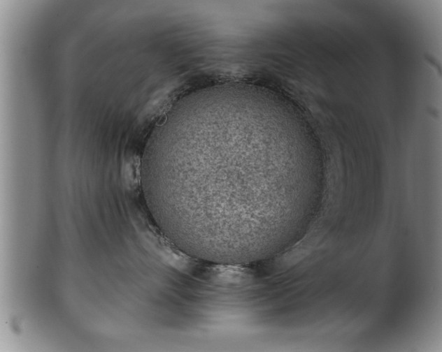 X0000102360528200808081133